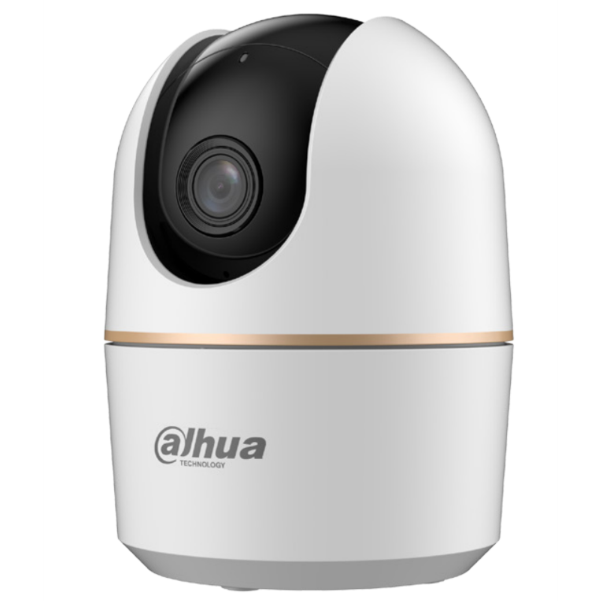 Dahua Cámaras seguridad-vigilancia IP PT SSTT - IPC-H5AP-0360B